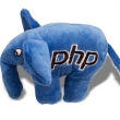 PHP viert twintigste verjaardag